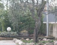 DSCN1377